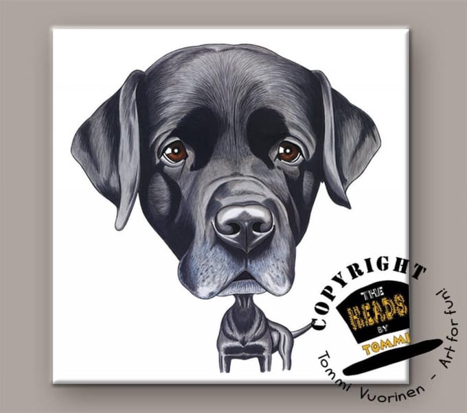 Tegel Hond Labrador Retriever