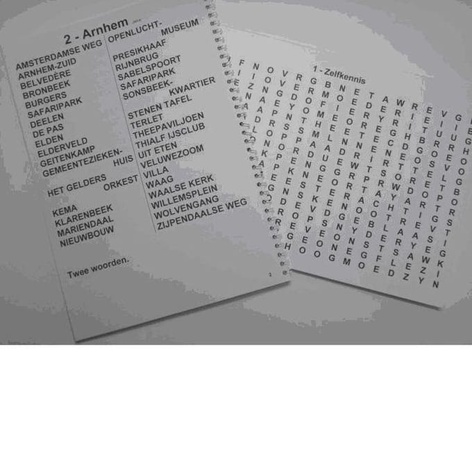 Denksport Grootletter Woordzoeker Voor Slechtzienden ( 3 sterren )