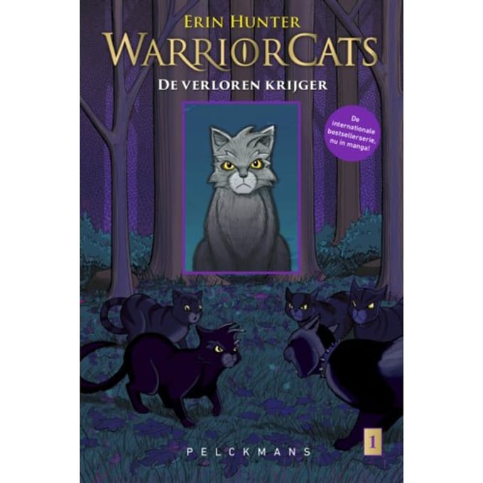 De Verloren Krijger / 1 Grijsstreeps Terugkeer - Warrior Cats - Erin Hunter
