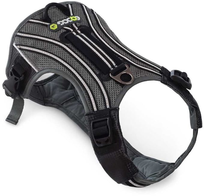EQDOG Hondentuig Pro Harness Zwart Maat L