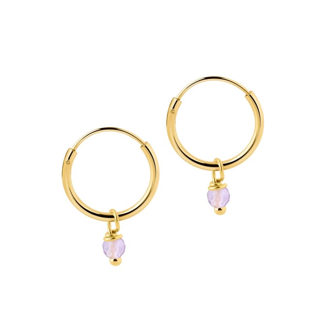 Kleine Goud Plated Hoops Met Paarse Steen