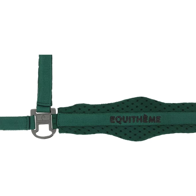 Halster voor paarden Equithème 3D Mesh