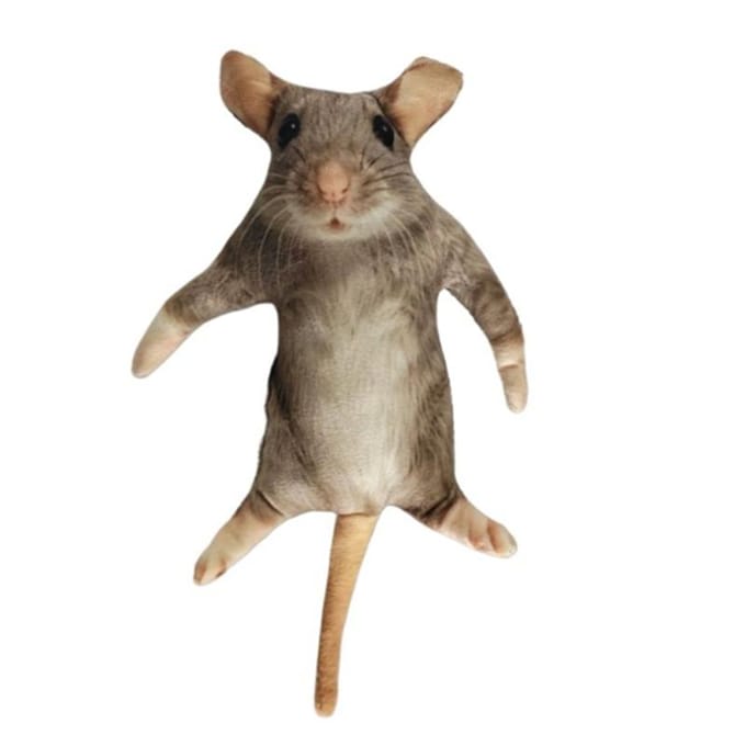 1025Cm Creatief Grappig Gesimuleerde Gedroogde Muis Pluche Pop Mini Dier Figuur Ingebouwd Draad Skelet Vakantie Cadeau