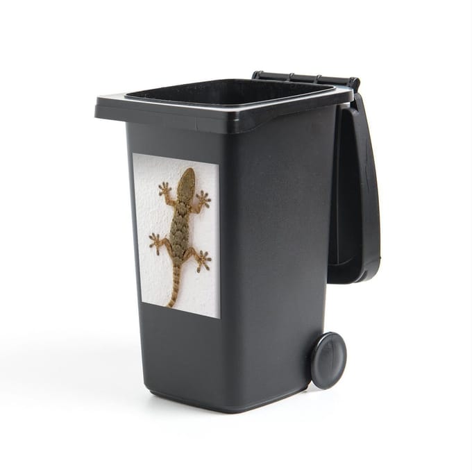 Container sticker Gecko - Tarentola gekko uit Mallorca - 40x60 cm - kliko sticker - weerbestendige containersticker