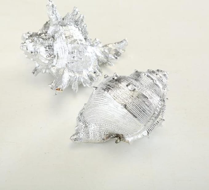 Schelp - Zeefruit - Decoratie - 2 set - zilver - 14 cm