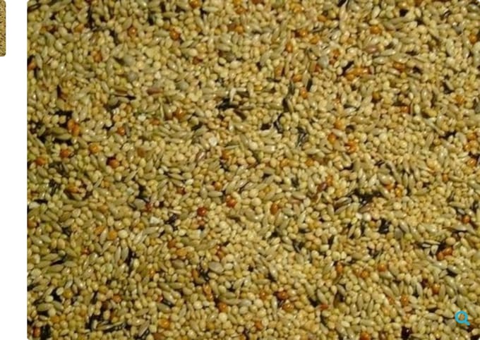 Himbergen neophemazaad 2,5 kg