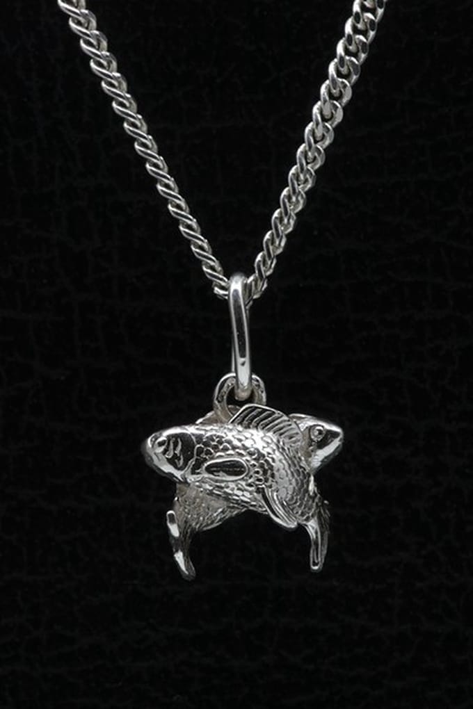 Zilveren Sterrenbeeld Vissen ketting hanger - klein