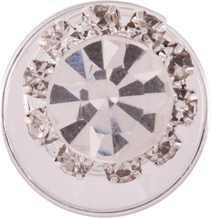 BR Knotspiraal BR Crystal Horse 1.2cm set/5st. One Size Zilver