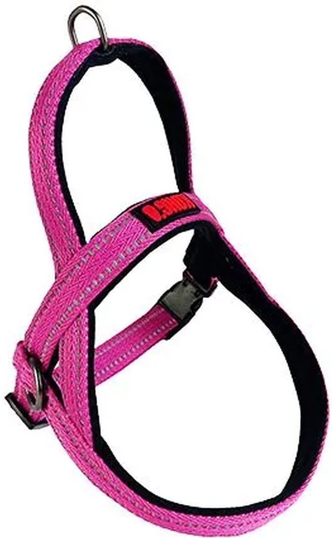 KONG Norwegian Harness Fuchsia
