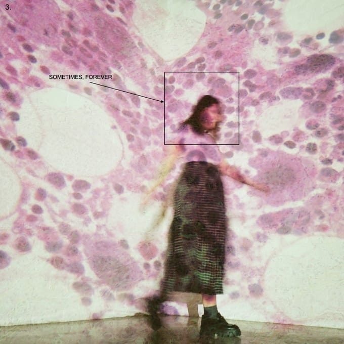 Soccer Mommy - Sometimes, Forever (LP)