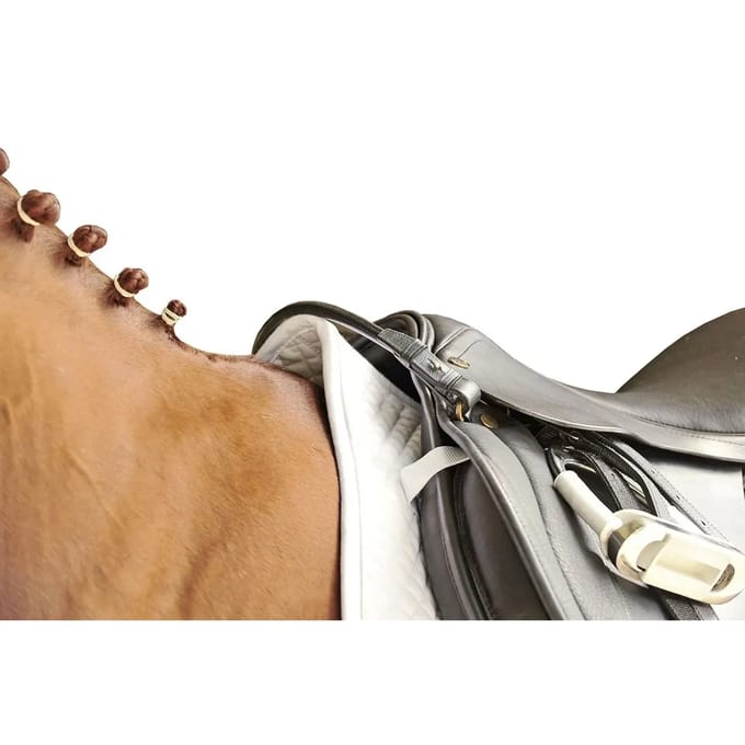Paardenzadelriem HKM