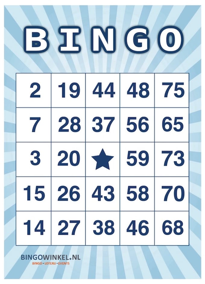 Bingokaarten 1-75 Karton | Blauw | 50 stuks
