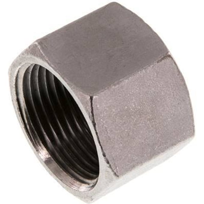 1'' NPT RVS Afsluitkap 16 Bar