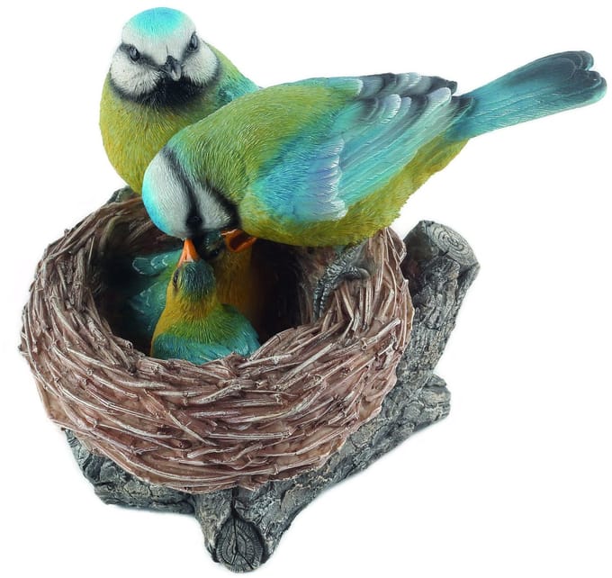 Pimpelmezen op nest