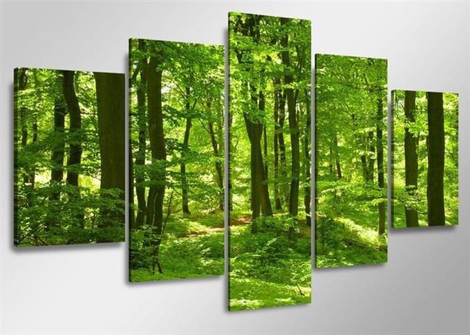 Art4-all - Canvas Schilderij Forrest - 160x80cm