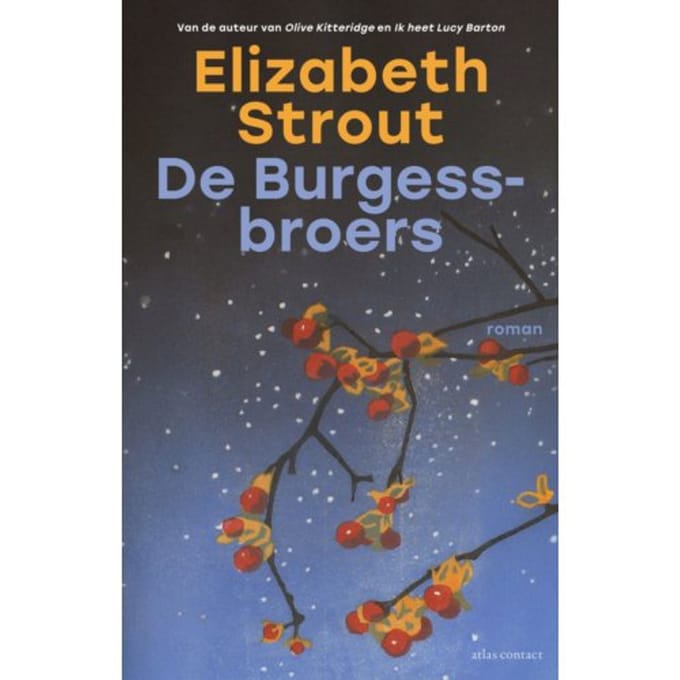 De Burgess-Broers - Lucy Barton - Elizabeth Strout