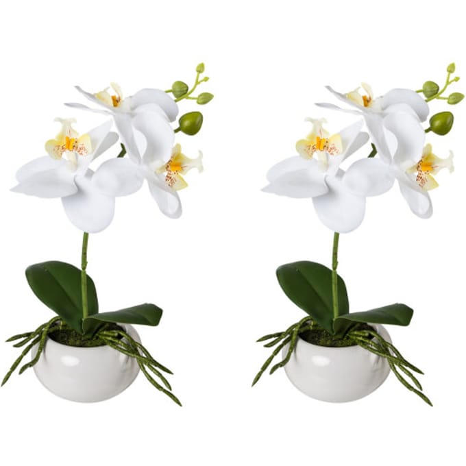 Kopu® Set 2 stuks Mini Kunstplant Orchidee 27 cm in witte Sierpot - Wit