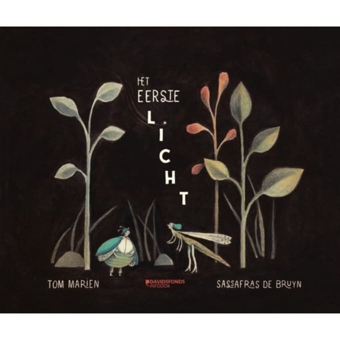 Het Eerste Licht - Tom Marien
