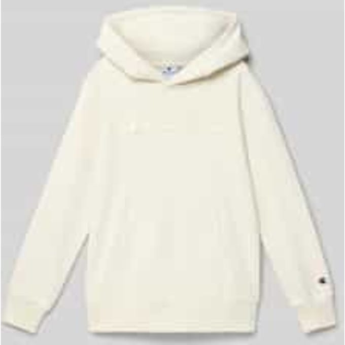 Regular fit hoodie met logostitching, model 'Icons'
