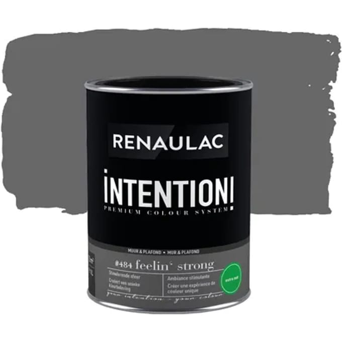 Renaulac Intention Muurverf - Extra Mat - Feelin' Strong - 1l