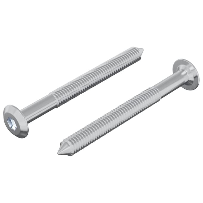 vidaXL Schroef 2 pcs Zilver M6 x 60 mm Staal