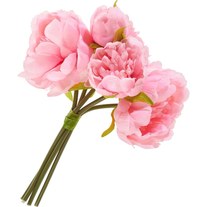 Pioenroos met 5 bloemen - Rozig