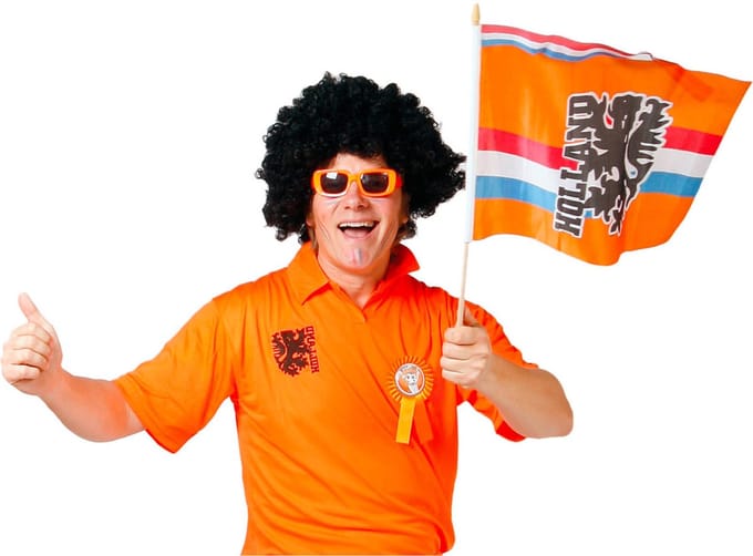 Zwaaivlag oranje leeuw - 30x40cm