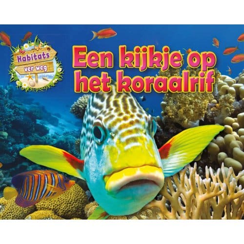 Een Kijkje Op Het Koraalrif - Habitats Ver Weg - Honor Head