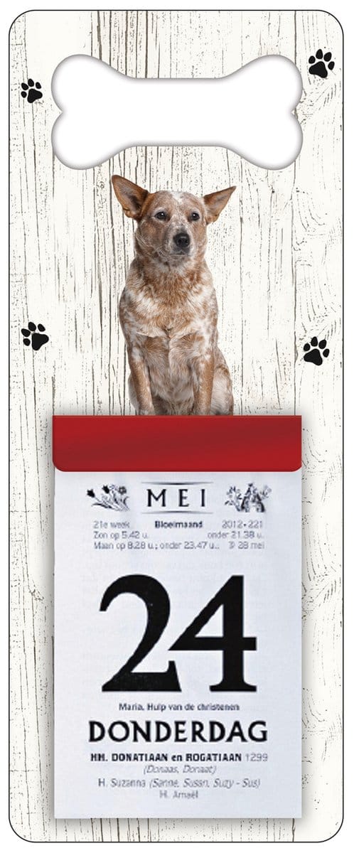 Scheurkalender 2027 Hond: Australian Cattle Dog