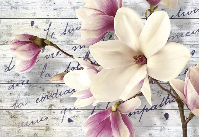 Fotobehang Flowers With Caption | XL - 208cm x 146cm | 130g/m2 Vlies