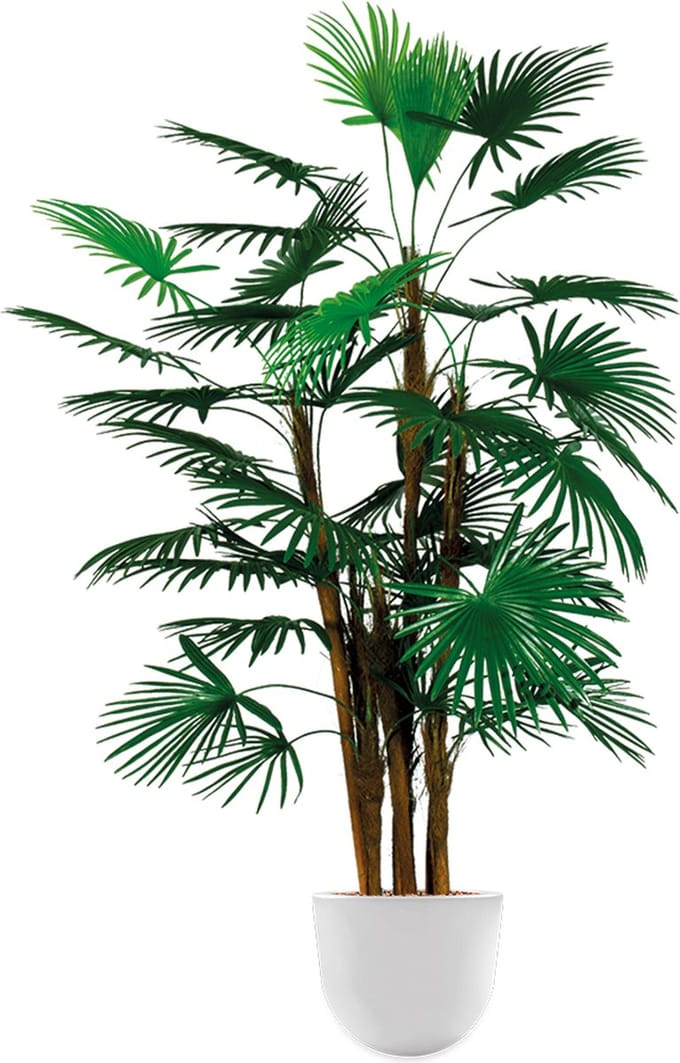 Kunstplant Rhapis palm in Eggy H125 cm