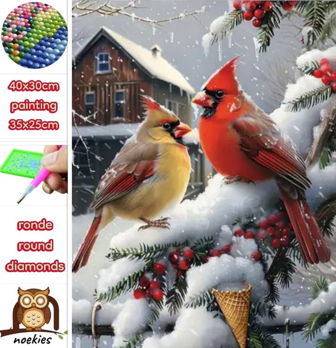 40x30cm Diamond Painting sneeuw vogels (rond) nr 224