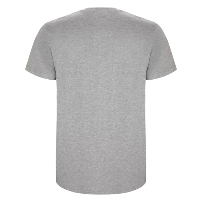 Roly Heren Stafford T-Shirt (Heide Grijs)