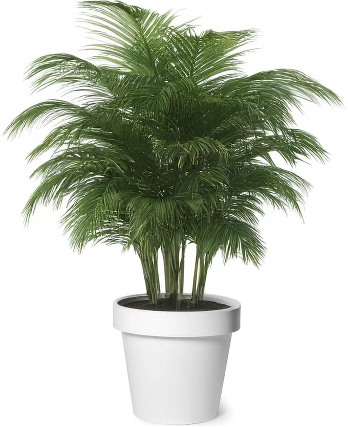 Mega Collections Plantenpot - kunststof - wit - buiten - D40 x H35 cm - bloempot