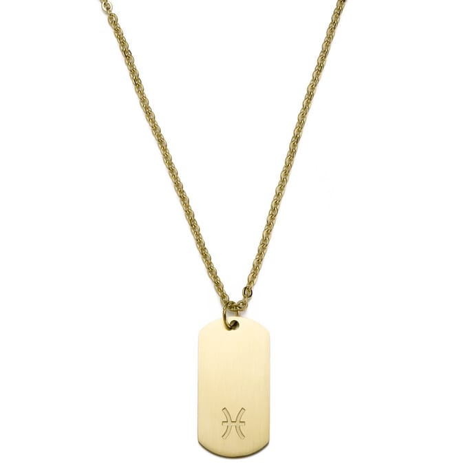 Goudkleurige Stalen Ketting met Sterrenbeeld Vissen