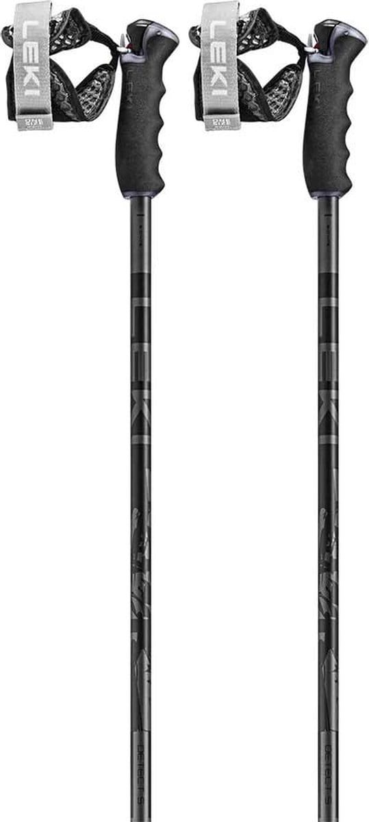 Leki Alpino Detect S Stokken Zilver 110 cm