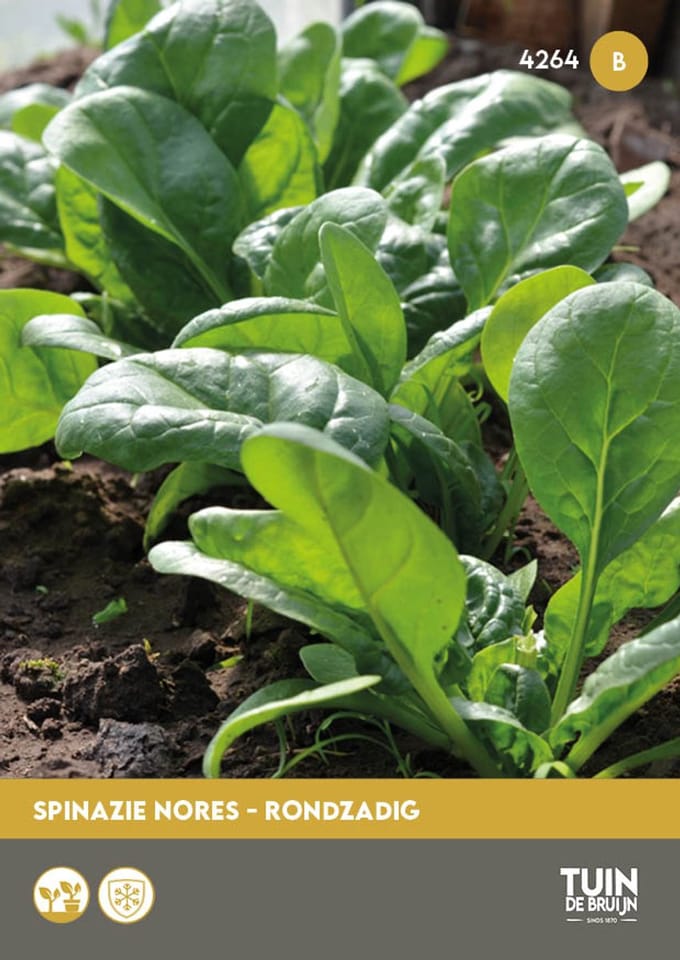 Tuin de Bruijn® zaden - Spinazie Nores, rondzadig