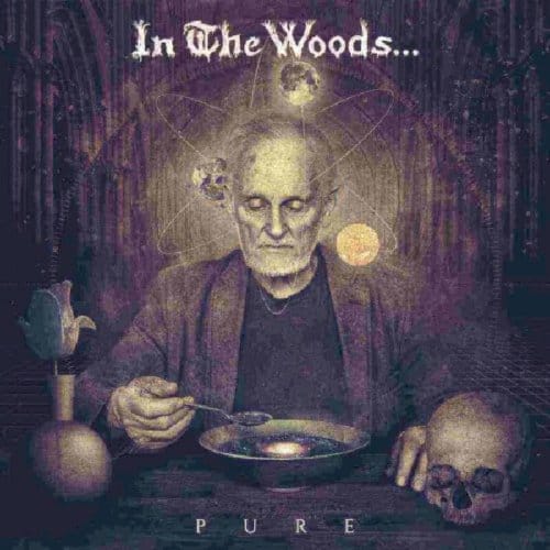 Pure - In The Woods