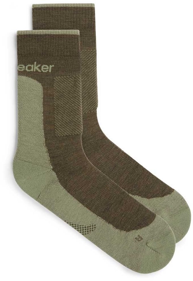 Icebreaker Heren Wandelsokken Medium Cushion Groen