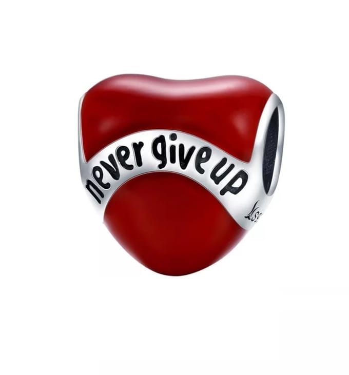 Bedel Never Give Up - Zilver - Sieraden - Past op de 3 Mm Standaard Bedelarmband - Romystones
