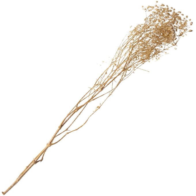 ARTYFETES - Boeket gedroogde gipskruid wit 25 g bruiloftsdecoratie