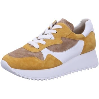 Lage Sneakers Paul Green -