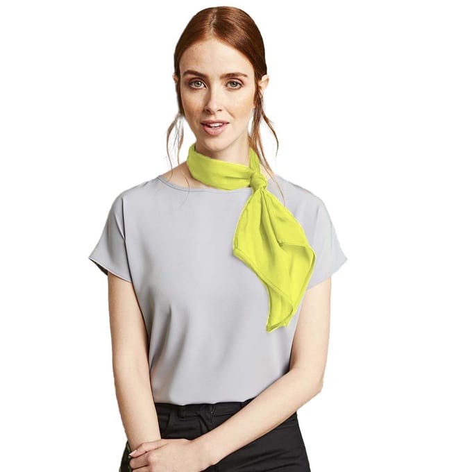 Premier Dames/vrouwenwerk Chiffon Formele Sjaal (Kalk)