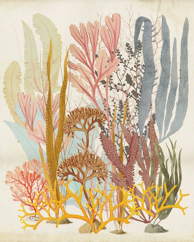 Fotobehang - Catchy Corals 200x250cm - Vliesbehang