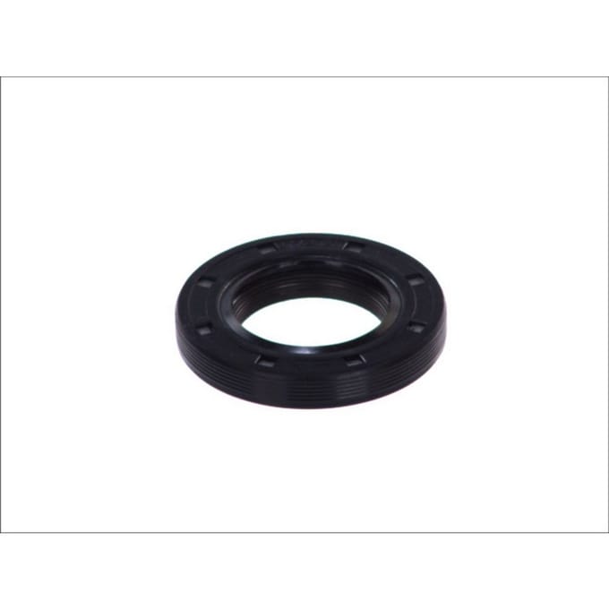 Radiale afdichtingsringenset, motor HANS PRIES 302 251