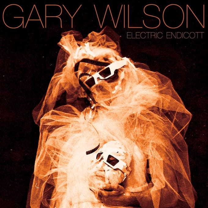 Gary Wilson - Electric Endicott (CD)