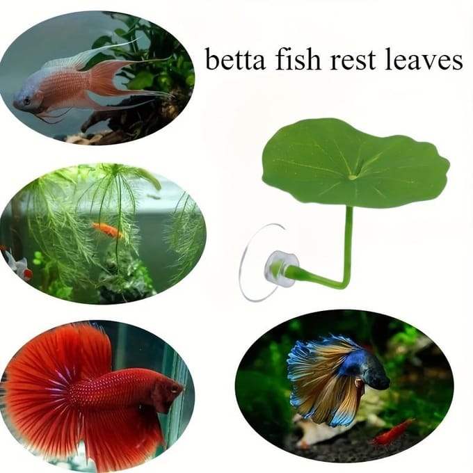 1 pc Hamac Feuille Betta, Lit pour Poisson, Décoration d'Aquarium Feuille Artificielle, Paysage d'Aquarium vert