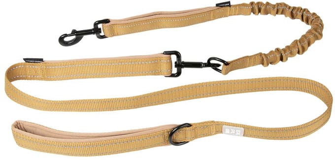 duvoplus EXPLOR Ultimate Fit 2in1 Leiband Hond - met Anti-schok en Inkortbaar tot 120cm - Reflecterend - 180cm x 16mm - Honey Gold