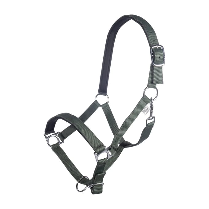 Halster voor paarden HKM Stars