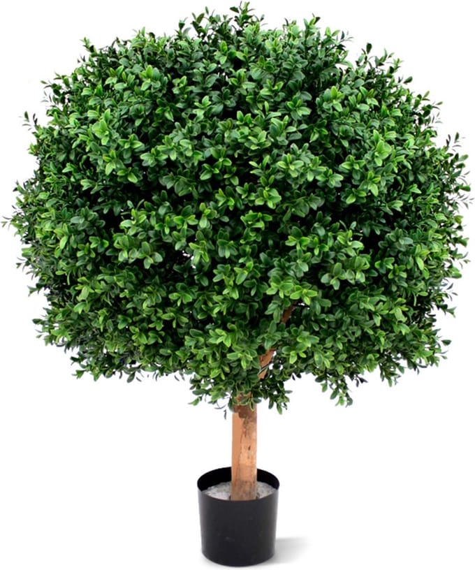 Buksus bol Deluxe 60 cm UV